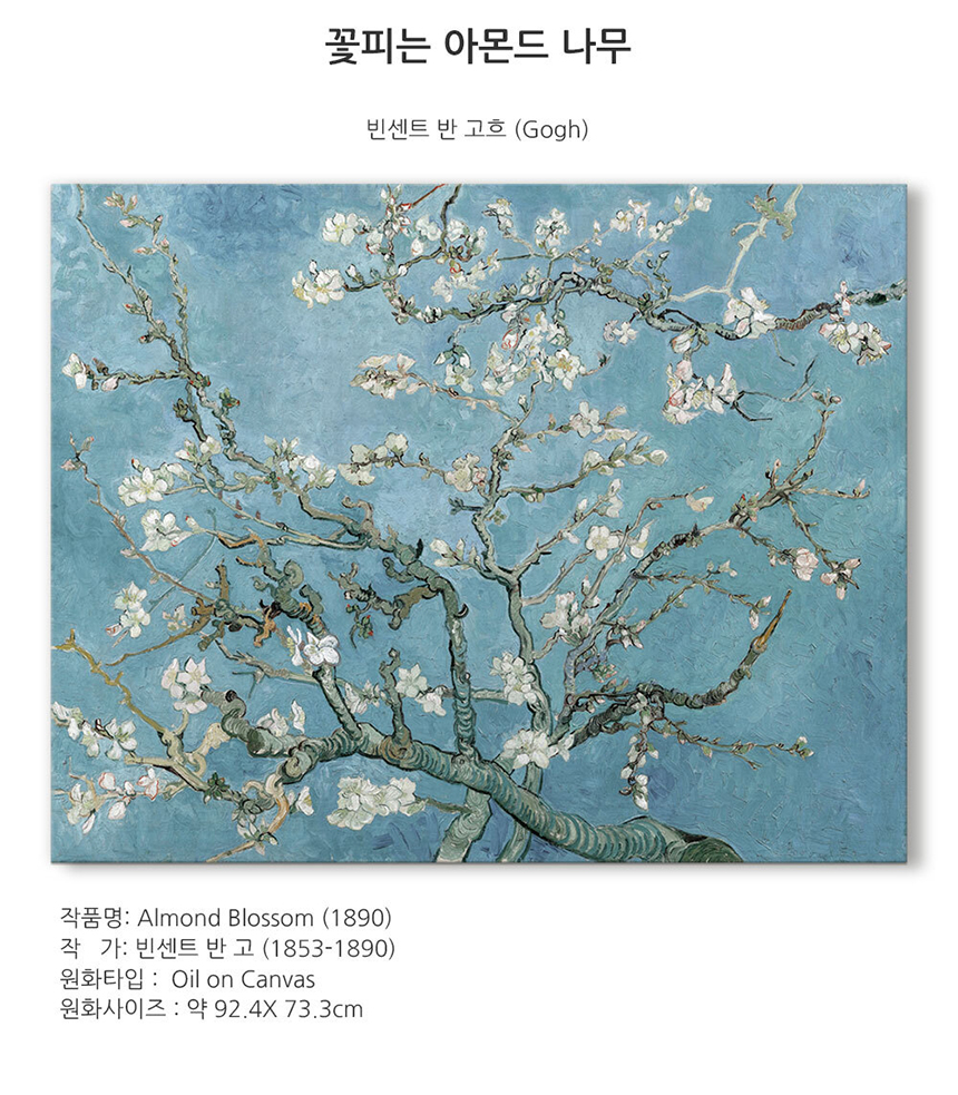 상품상세 - 롯데홈쇼핑